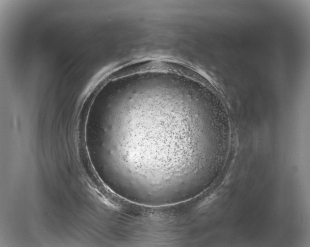 X0000081420199200701191604
