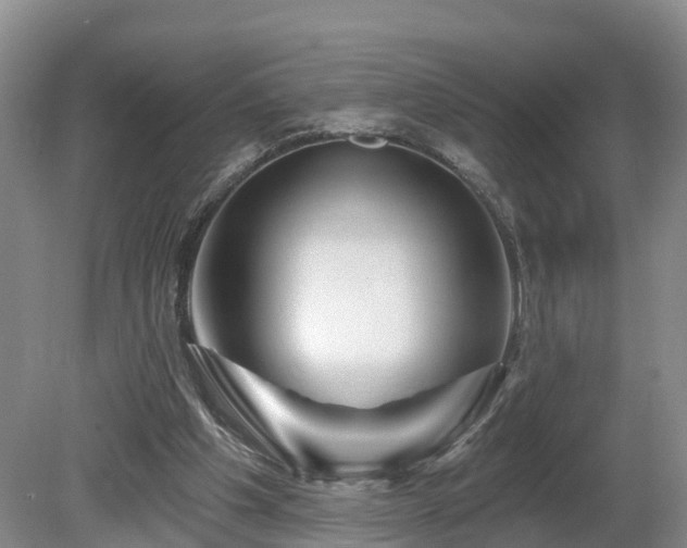 X0000081420201200701191604
