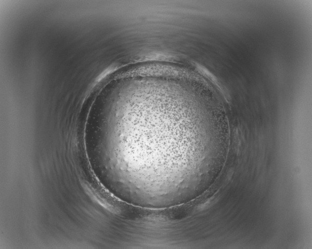 X0000081420203200701191604