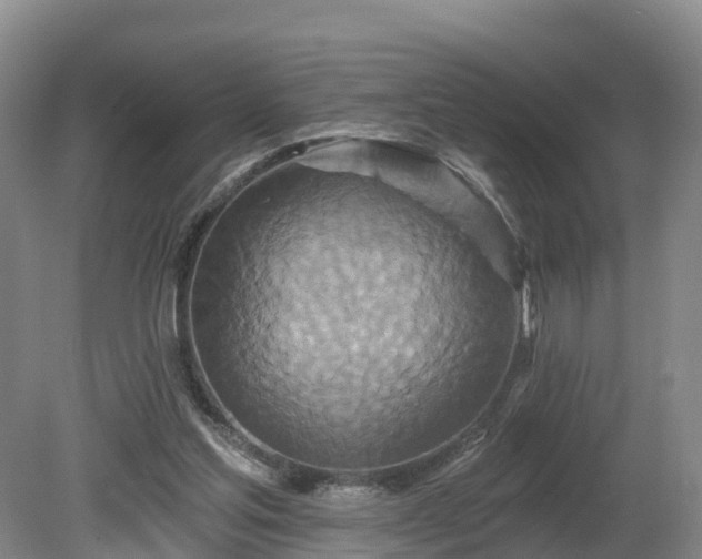 X0000081420205200701191604
