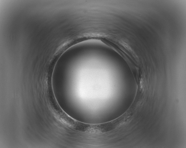 X0000081420207200701191604