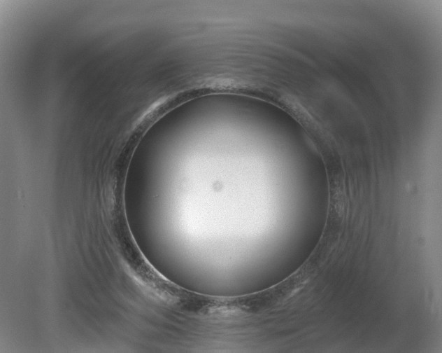 X0000081420208200701191604