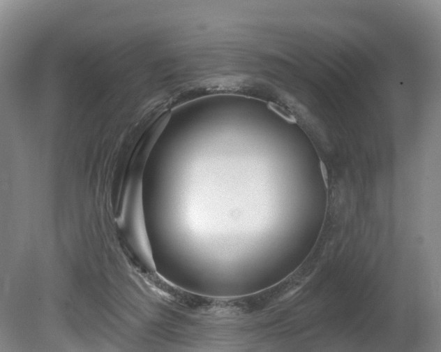 X0000081420209200701191604