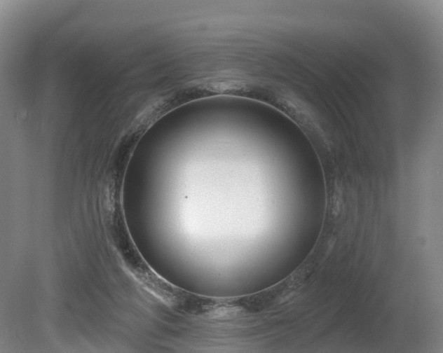 X0000081420210200701191604