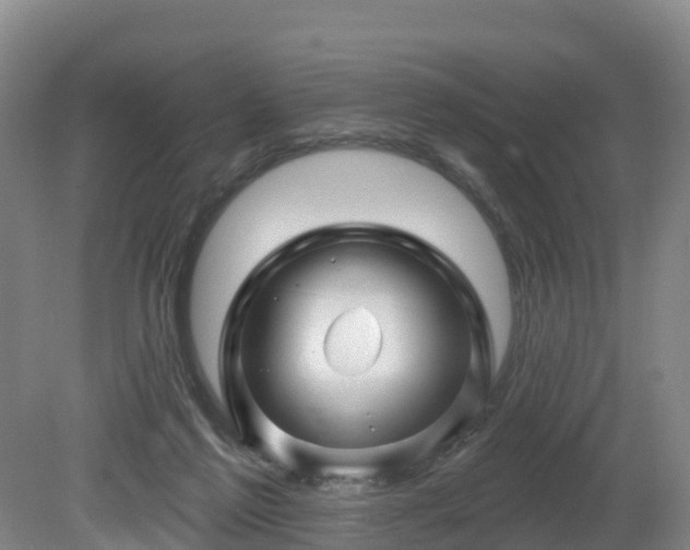 X0000081420213200701191604