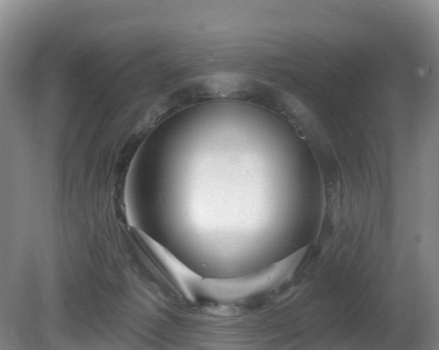 X0000081420221200701191604