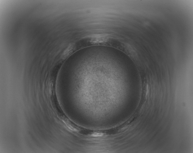 X0000081420227200701191604