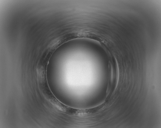 X0000081420228200701191604