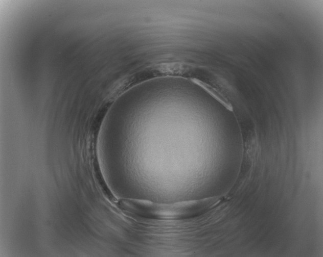 X0000081420233200701191604