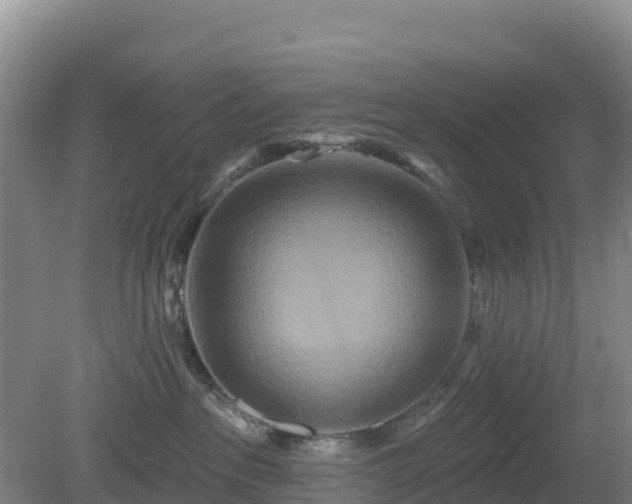 X0000081420237200701191604