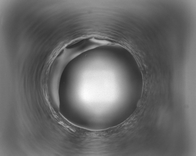 X0000081420241200701191603