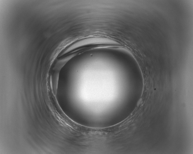 X0000081420242200701191603