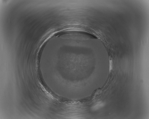 X0000081420243200701191603
