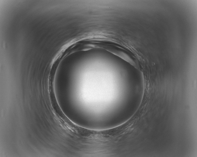X0000081420244200701191603