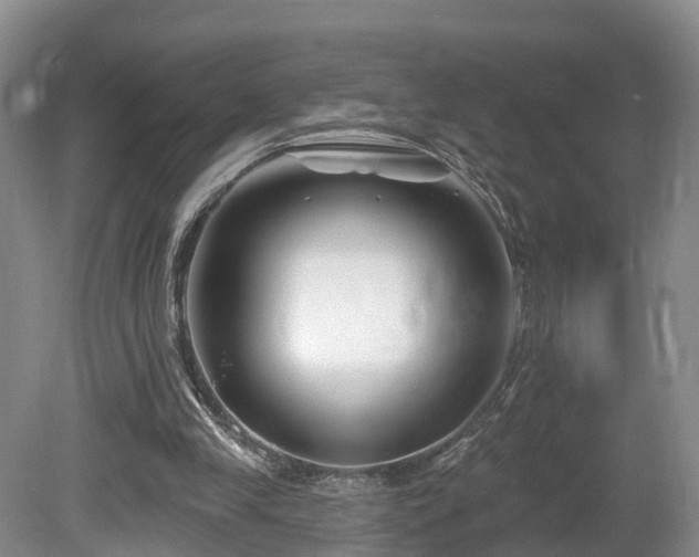 X0000081420245200701191603