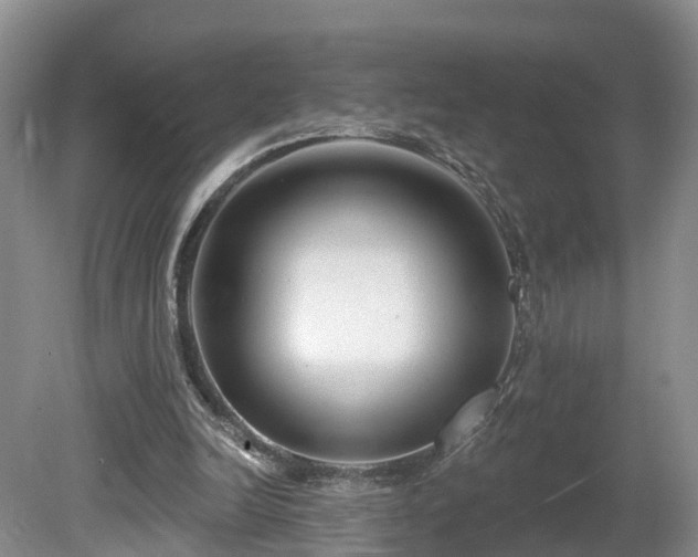 X0000081420246200701191603