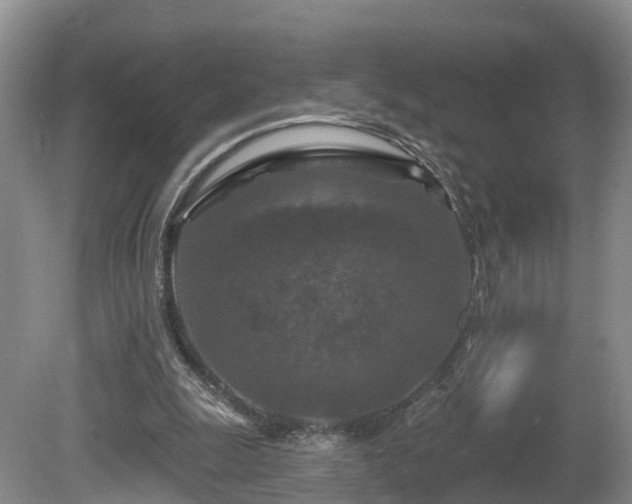 X0000081420247200701191603
