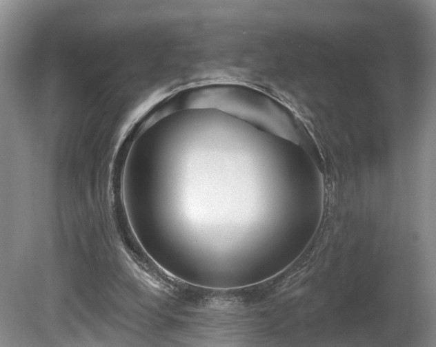 X0000081420248200701191603