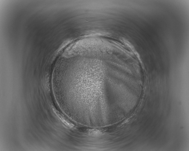 X0000081420249200701191603