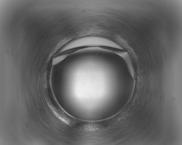 X0000081420250200701191603