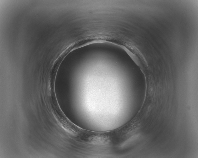X0000081420251200701191603