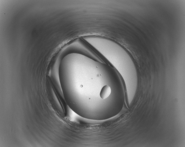 X0000081420252200701191603