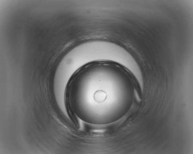 X0000081420260200701191603
