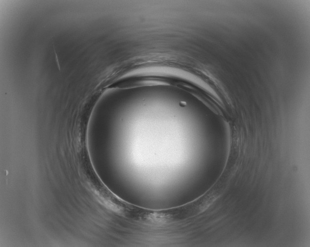 X0000081420261200701191603