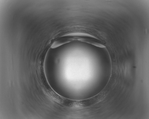 X0000081420263200701191603