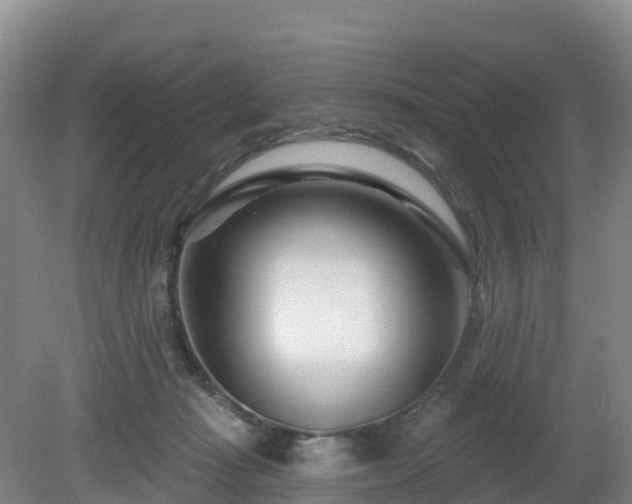 X0000081420269200701191603
