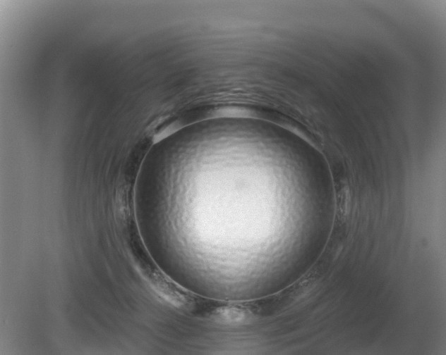 X0000081420272200701191604