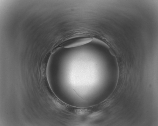 X0000081420273200701191604