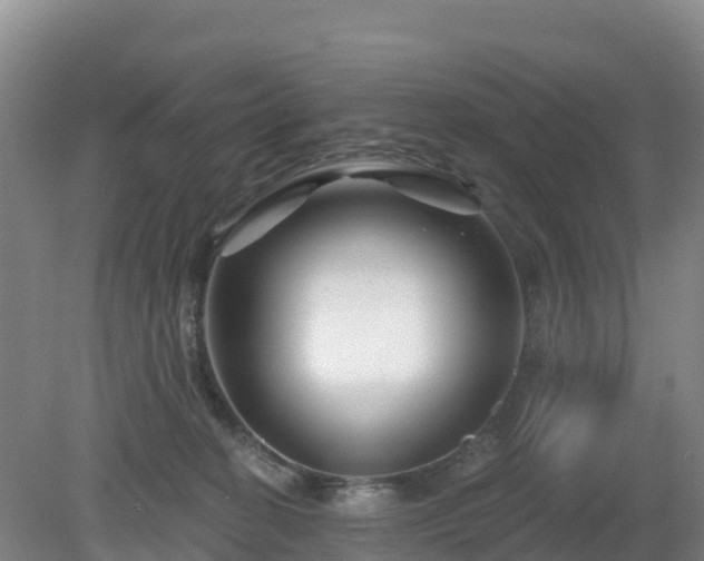 X0000081420274200701191604