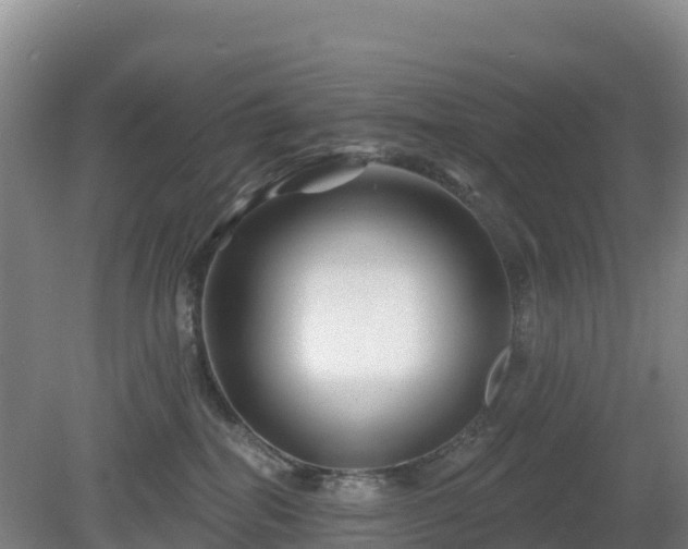 X0000081420282200701191604