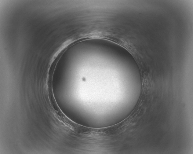 X0000081420292200701191603