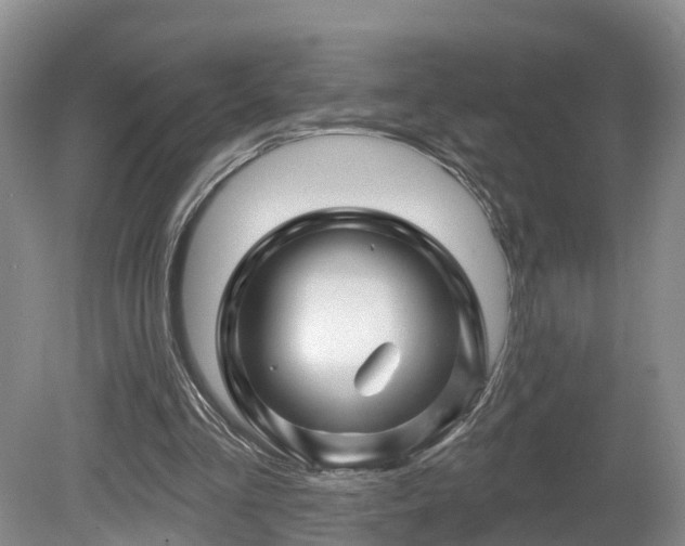 X0000081420293200701191603