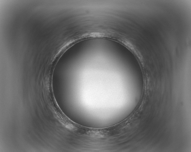 X0000081420297200701191603