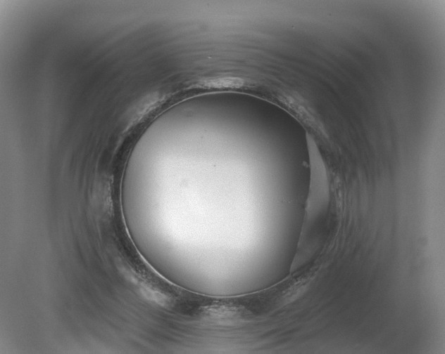 X0000081420300200701191603