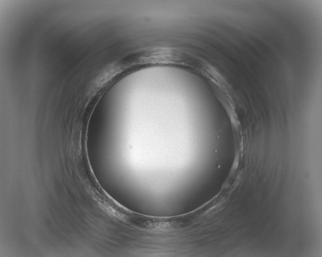 X0000081420301200701191603