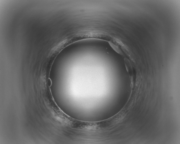X0000081420306200701191603