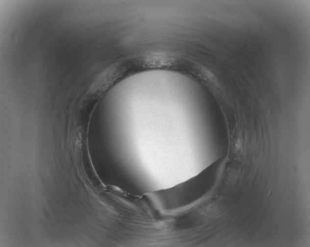 X0000081420315200701191603