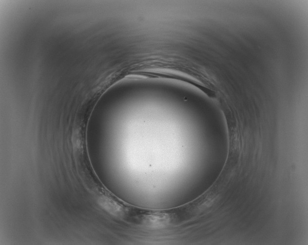 X0000081420317200701191602