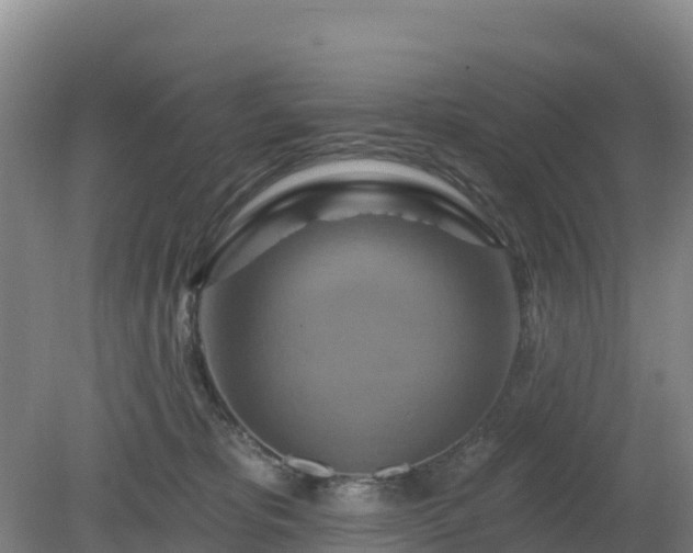 X0000081420325200701191602