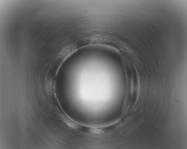 X0000081420333200701191602
