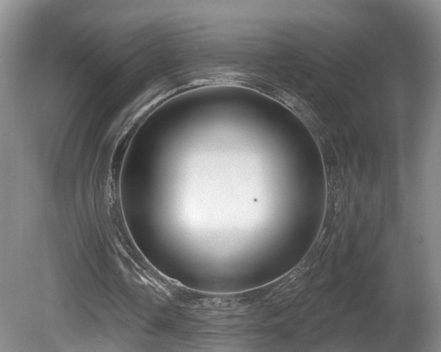 X0000081420338200701191601
