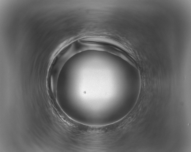 X0000081420340200701191601
