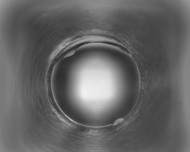 X0000081420341200701191601