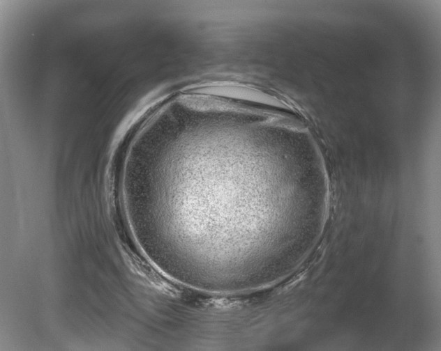X0000081420343200701191601
