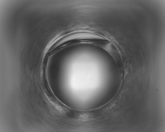 X0000081420344200701191601
