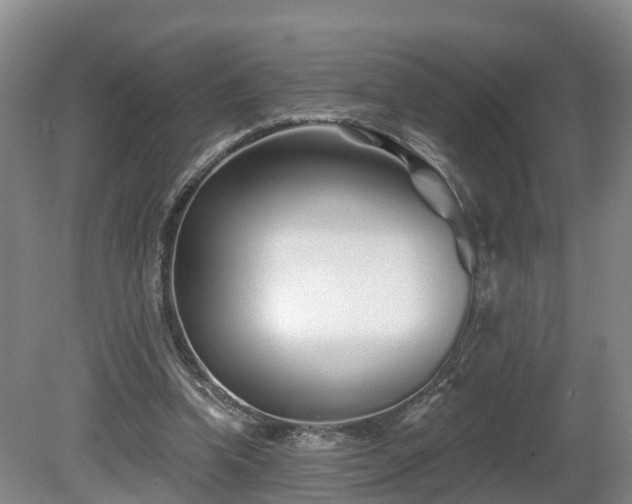 X0000081420346200701191601